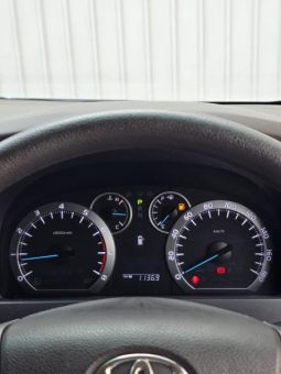 
										Toyota Alphard 2010 full									